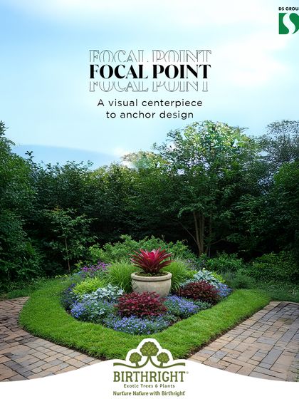 Every great design needs a focal point. In this garden bed, a striking red Bromeliad in a stone planter acts as a visual centerpiece, anchoring the entire design and drawing the eye.