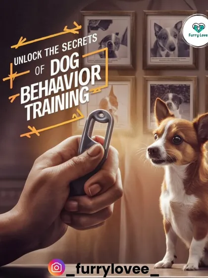 I help you unlock the secrets of dog behavior training. Understanding why your dog does what it does is the first step to changing it.