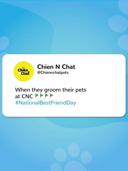 Pet parents who groom their pets with us are checking all the green flags. Happy National Best Friend Day.
