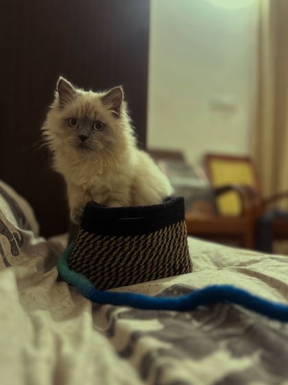 Chameli looking poised and confident during her stay.