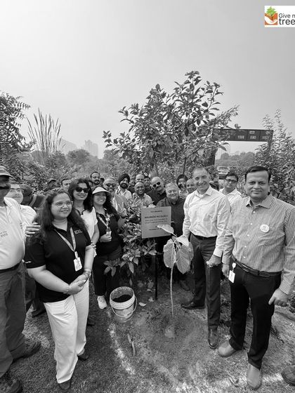 The EXL leadership team at the Noida plantation site. Their participation energizes the entire group of volunteers and reinforces the company's green mission.