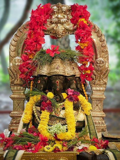 Art of Living - Religious Ceremonies & Festivals Joyful Festivals & Celebrations photo 13