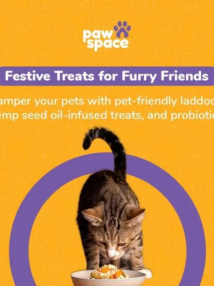 Cats deserve the best too. We offer a variety of meals and special festive treats, like these pet-friendly laddoos, to make sure every member of your family, including your feline friend, feels special and cared for.