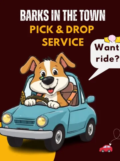 My pick-up and drop-off service is designed to make your life easier. I handle the driving so you can manage your busy schedule, and your pet gets the care they need without any travel stress for you.