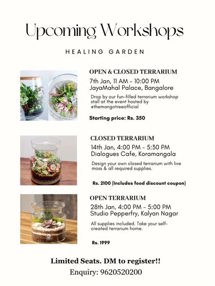 Healing Garden - Terrarium & Miniature Garden Workshops Workshop Announcements & More photo 5