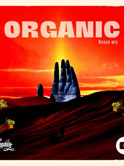 The cover for my "Organic House Mix". This is for when you need something smooth and soulful, a journey through the deeper and more natural sounds of house music.