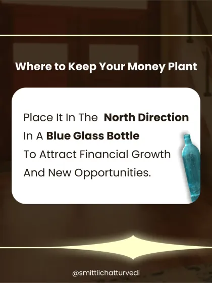 A money plant is a powerful tool for attracting wealth. For best results, I advise placing it in the North direction in a blue glass bottle to attract financial growth and new opportunities.