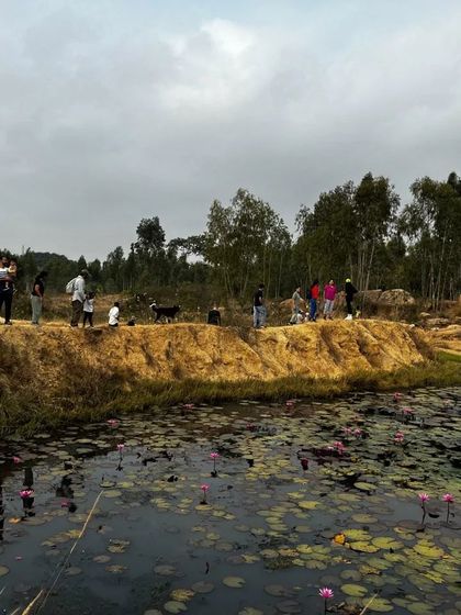 The Earth School - Nature & Community Engagement Programs Community in Action: Giving Back & Celebrating Together photo 5