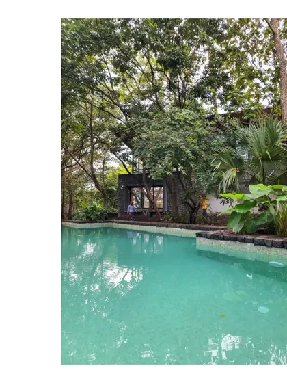 The House in a Grove, nestled in Alibaug. The architecture becomes a bystander, a partner to the grove, pushing life outdoors. Here, the undergrowth and tree canopies become the true living space.