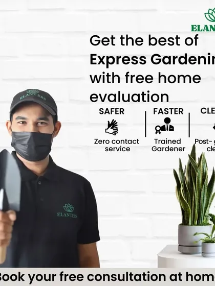 Hiring a professional gardener is now safer, faster, and cleaner. My team is trained to provide expert care with zero contact and we always clean up after, leaving your home and garden spotless.