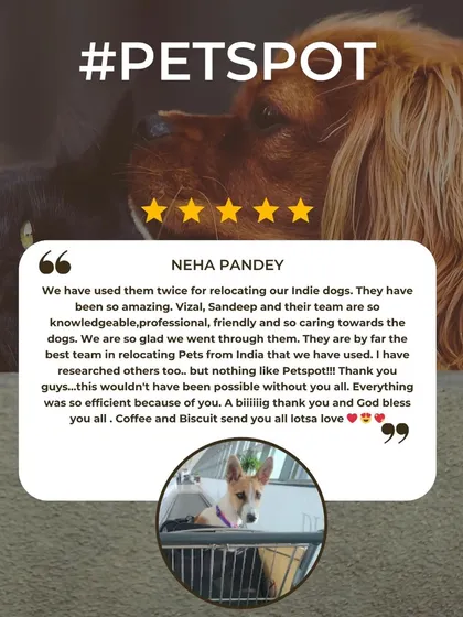Neha Pandey has used my services twice for her indie dogs, Coffee and Biscuit. Her trust in me as the best team for relocating pets from India means everything.