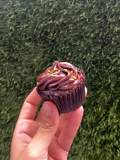 A simple, perfect chocolate cupcake with rich chocolate frosting and colorful sprinkles. A little bite of happiness.