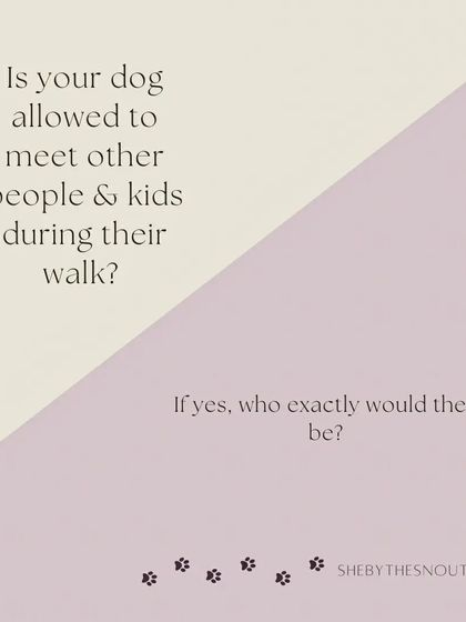 Aditi - In-Home Pet Sitting My Approach to Pet Sitting photo 10