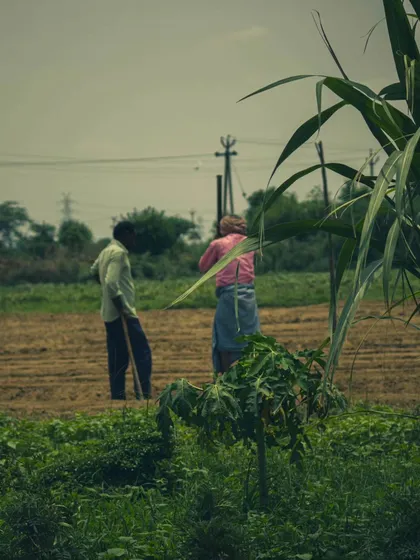 Two of our farmers discussing the day's work in the field. By choosing organic, you support these farmers and encourage more to adopt sustainable, chemical-free farming practices.