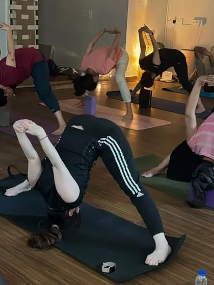 A dynamic class working on various forward folds. The use of blocks helps students maintain spinal length and work safely within their range of motion.