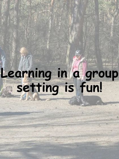 Gourav Vartalur - Dog Obedience Training Group Obedience Classes photo 15