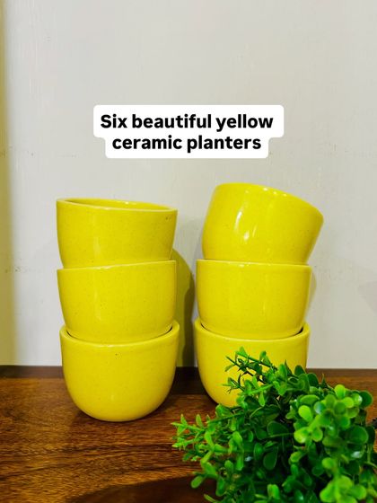 A simple and elegant design featuring our three-tier wooden shelf, which comes with six beautiful yellow ceramic planters. This setup provides ample space to display your favorite greens and create a stunning wall feature.