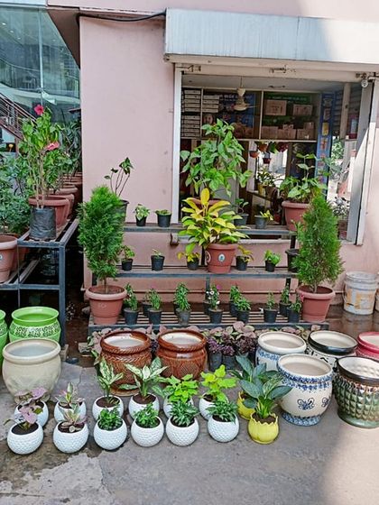 Multiplex Urban Green - Landscape & Garden Services Vertical Gardens & Office Greenery photo 3