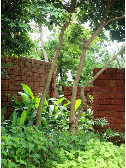 The rich, red color of a laterite wall provides a stunning contrast to the vibrant greens of the tropical plants. In this Alibaug resort project, I used local materials to create these beautiful, textured backdrops for the garden.