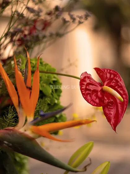 A detail of the exotic florals used in our African tribal theme. The vibrant red anthurium and orange bird of paradise flower add a tropical and artistic touch to the arrangement.