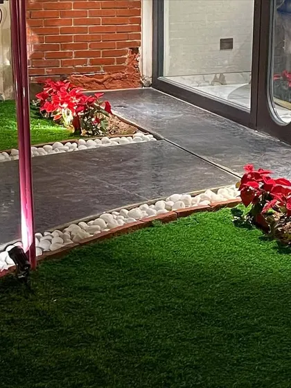 This design uses clean lines and contrasting materials. Patches of artificial grass are bordered by white pebbles and red bricks, creating neat, defined spaces next to the concrete walkway.