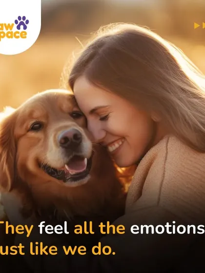 Training is about more than just commands; it's about deepening the emotional connection you share with your pet. We help you understand your dog's feelings and build a bond based on trust and mutual respect, like the one in this heartwarming photo.