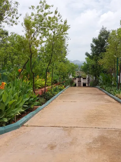 A long driveway lined with colorful Canna lilies and other flowering plants. This creates an impressive and welcoming approach to the property.