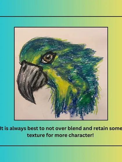 A great tip for oil pastels: sometimes it's best not to over-blend and to retain some texture for more character, as shown in this expressive parrot drawing.