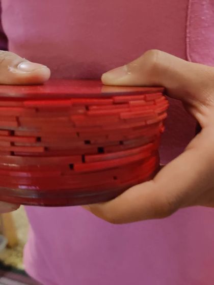 The Earth School - Montessori Primary & Elementary Program The Language of Mathematics photo 8