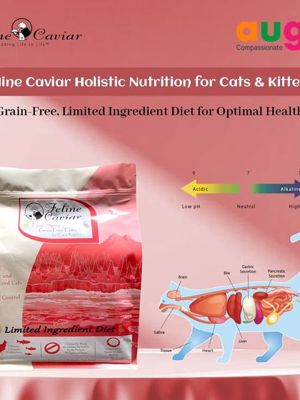 Augie Pets - Pet Supplies For Our Feline Friends: Premium Cat Nutrition photo 34