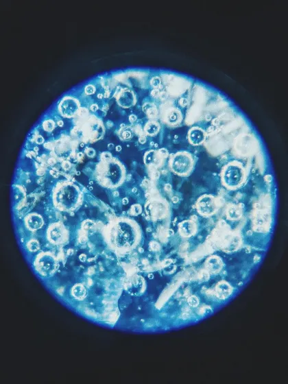 This is what glaze looks like under a microscope. Every bubble, crackle, and crystal is a tiny universe created by heat and chemistry in the kiln. It’s a reminder of how much magic is happening on a microscopic level.