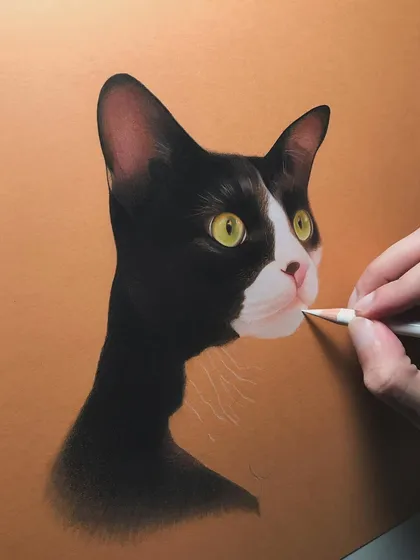 A glimpse into the process of drawing a tuxedo cat with color pencils. I start by carefully mapping out the features and then begin to build up the rich, dark fur and the bright, curious eyes, ensuring every detail is perfect.