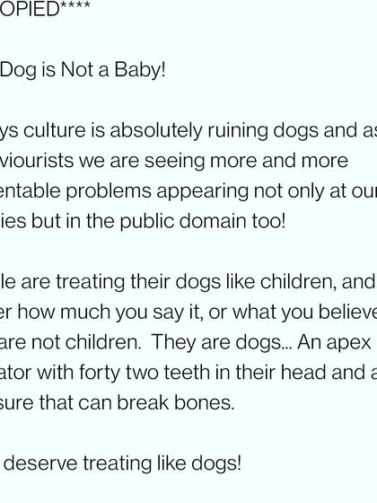 People treating their dogs like children is ruining them. They are dogs, and they deserve the respect of being treated as such.