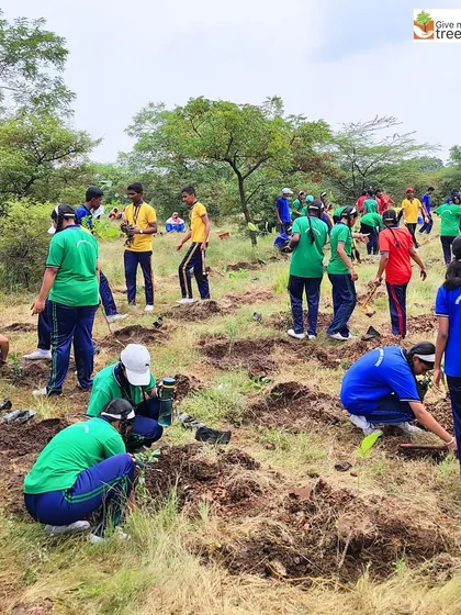A wide view of the plantation drive, with students spread across the landscape, digging and planting. This is what large-scale community afforestation looks like.