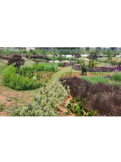 Another view of the diverse planting palette, with different textures from spiky cacti to soft grasses. This approach creates a landscape that is not only beautiful but also resilient and attractive to local fauna.