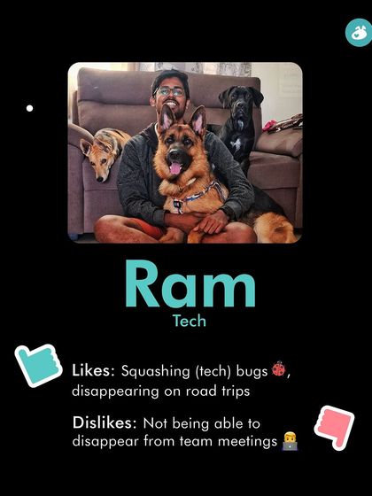 The Pack - Online Pet Parent Community Our Story & Our Team photo 7