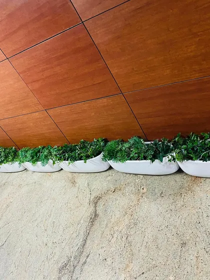 A closer look at the artificial foliage used in the office planters. The plants are dense and varied in texture, providing a realistic appearance that holds up even in high-traffic commercial areas.