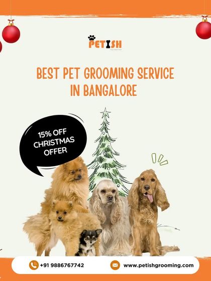 Petish Grooming - Mobile Grooming for Dogs & Cats Special Offers & Festive Deals photo 10