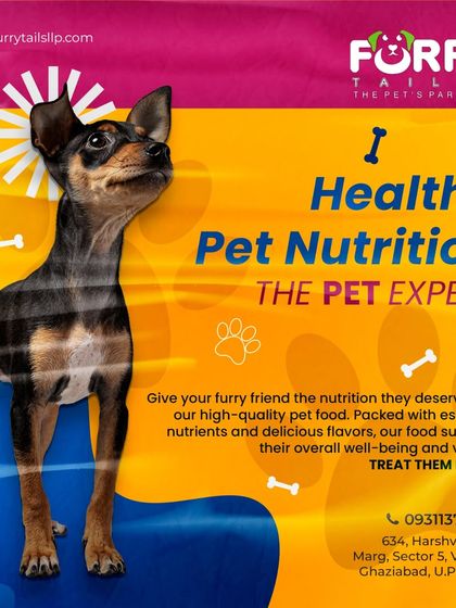 As pet nutrition experts, we provide high-quality food packed with the nutrients your companion needs to thrive. We can help you choose the perfect diet for your dog's specific age, breed, and health requirements.