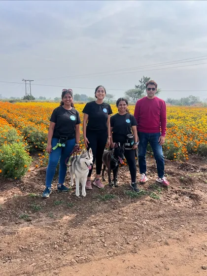 This is my team with Raja and Sky in the beautiful marigold fields of Solapur. It was a fulfilling weekend of transferring all the training back to their handlers and seeing the incredible progress they made.