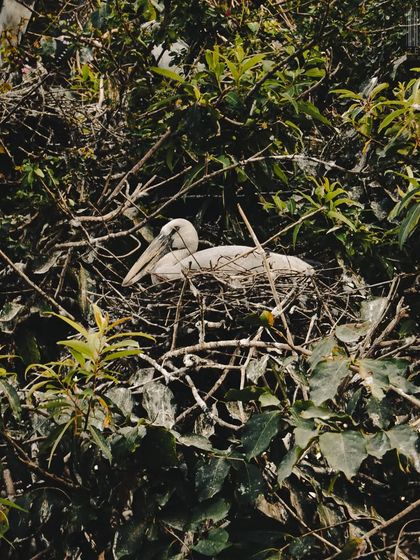 Zahid Moledina - Photography The World Up Close: Nature & Macro photo 8