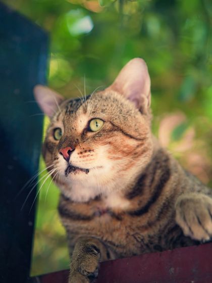 Garima Bhaskar - Photography Services Moody Moments & Details photo 21