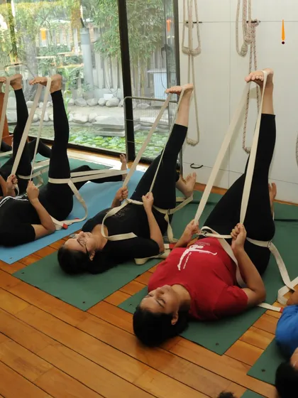 These images capture the quiet moments of practice, whether in a group, in nature, or alone. They reflect the peace, strength, and connection that yoga brings to our lives.