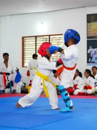 Youth Programs (Classes & Camps)