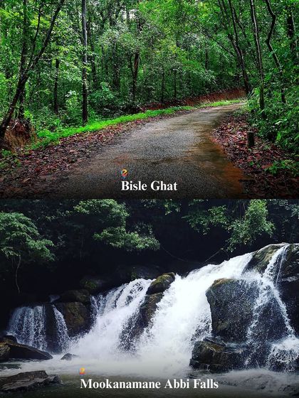 The lush green trails of Bisle Ghat and the beautiful Mookanamane Abbi Falls are highlights of our Sakleshpura tour.