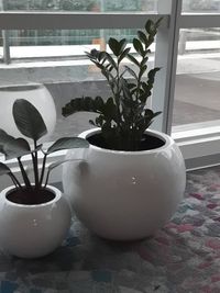 Interior & Exterior Plantscaping
