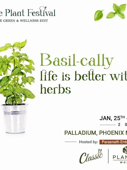 Basil-cally, life is better with herbs. We always bring a selection of fresh herbs to our plant festivals, perfect for starting your own kitchen garden.