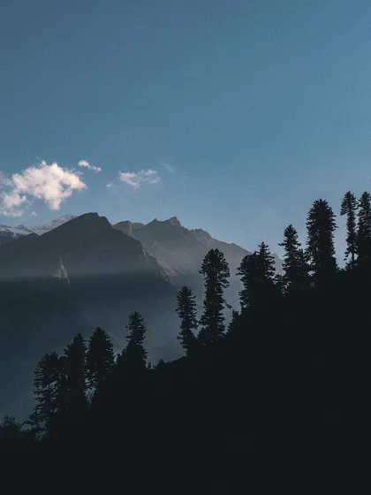 the silhouette of pine trees against distant mountains. i often draw inspiration from natural forms and silhouettes when creating custom icons and shapes.