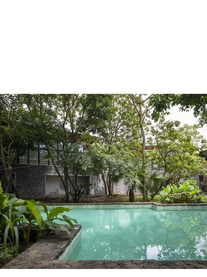 The pool at the 'Villa in a Grove', surrounded by lush foliage. The architecture is a quiet partner to the grove, allowing nature to take center stage.