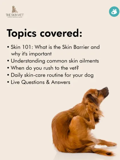 The Pack - Pet Parent Education & Workshops Expert-Led Online Masterclasses photo 39